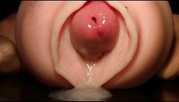 ស្ទី Owen&Jay Landford