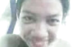 យប់ចុងក្រោយនៃសេរីភាព